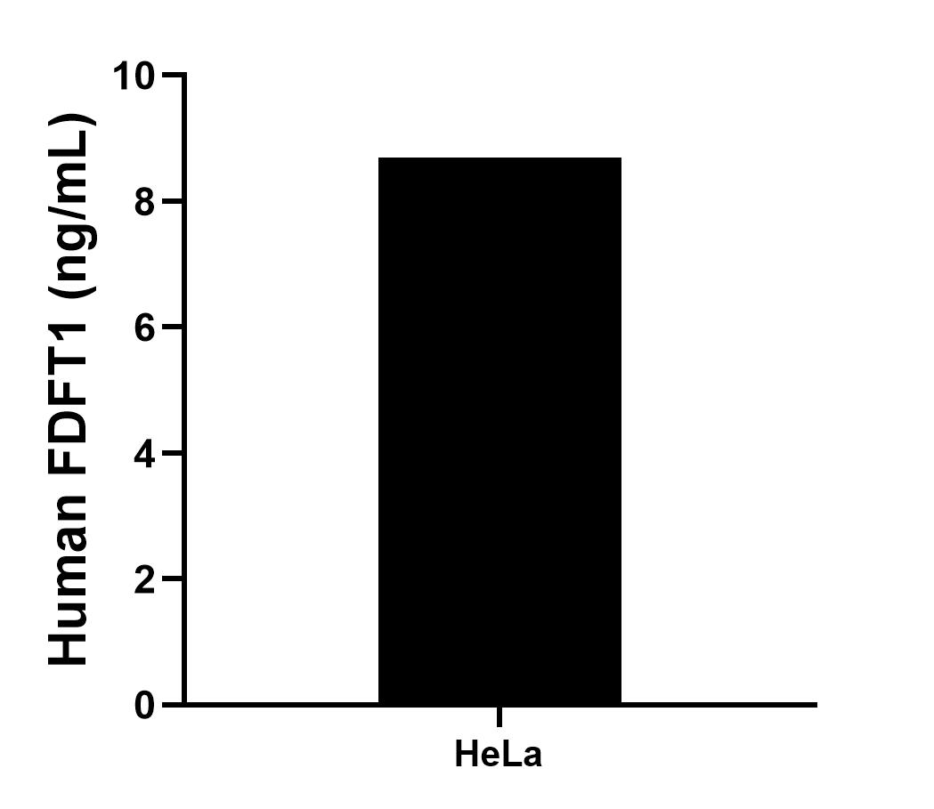 The mean FDFT1 concentration was determined to be 8.7 ng/mL in HeLa cell extract based on a 1.5 mg/mL extract load.